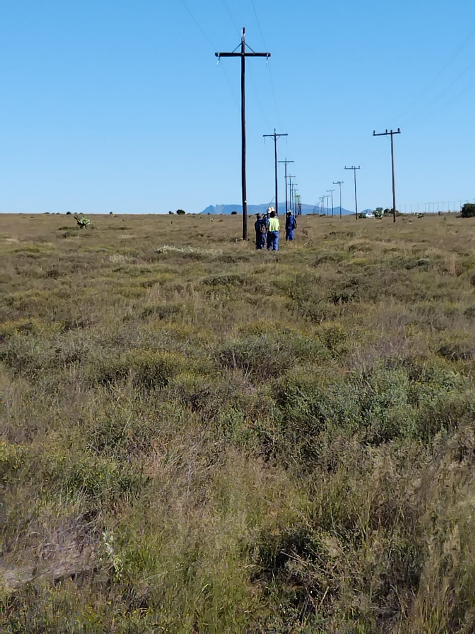 Wooden pole electricity distribution route
